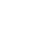 PDF Icon